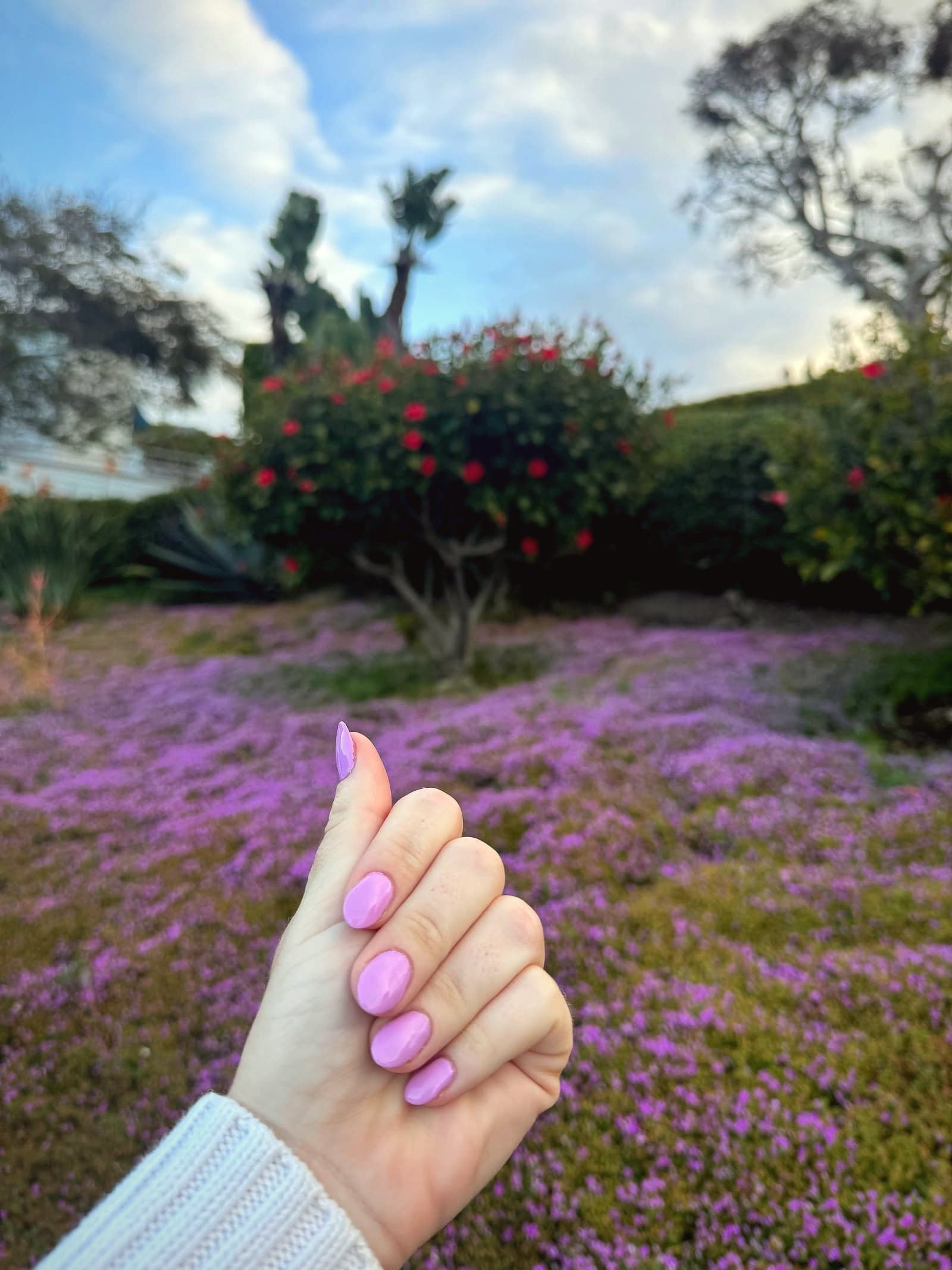 Cali Nails — photo from their Google Business Profile