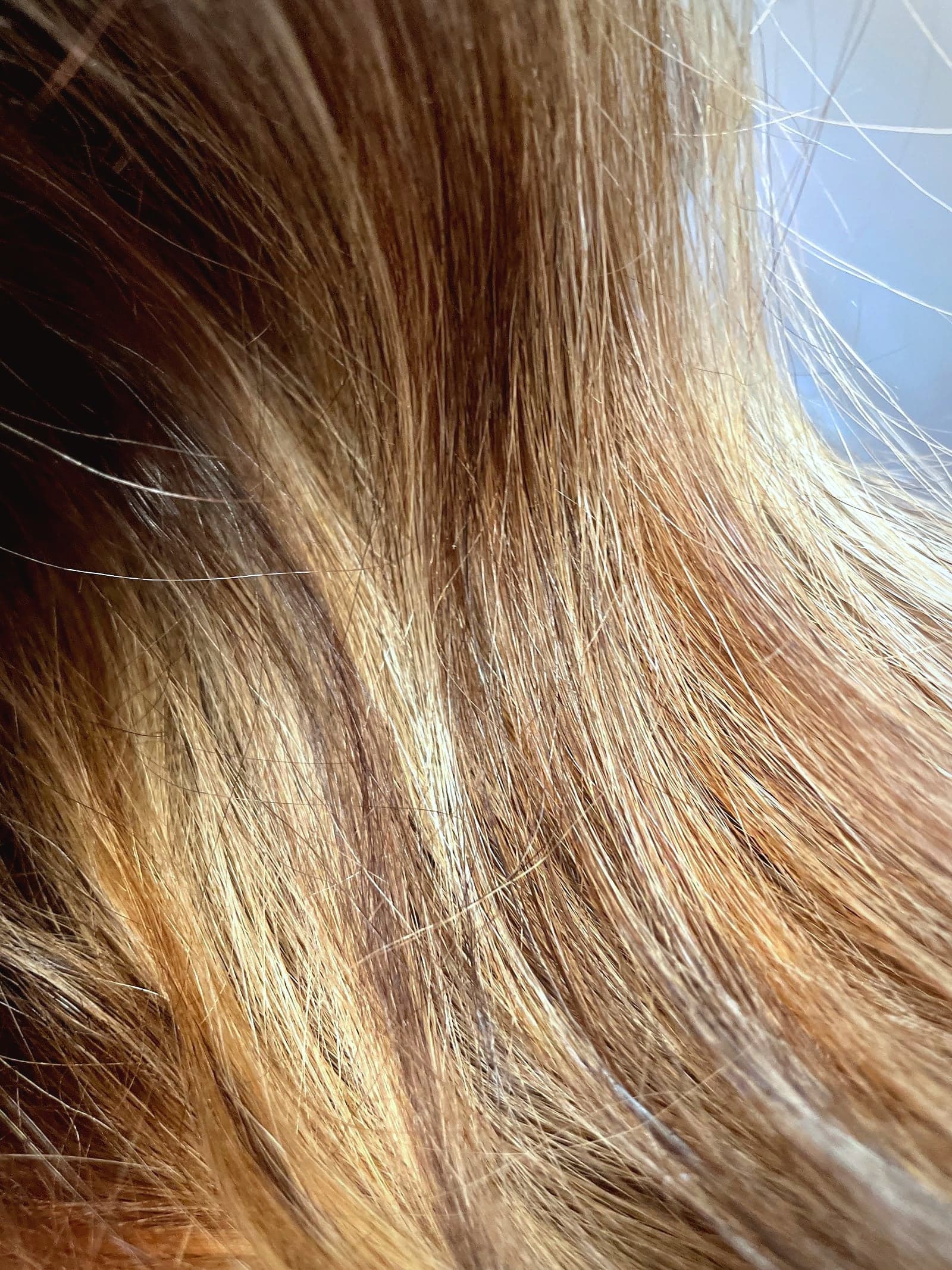 Final Cut — photo from their Google Business Profile