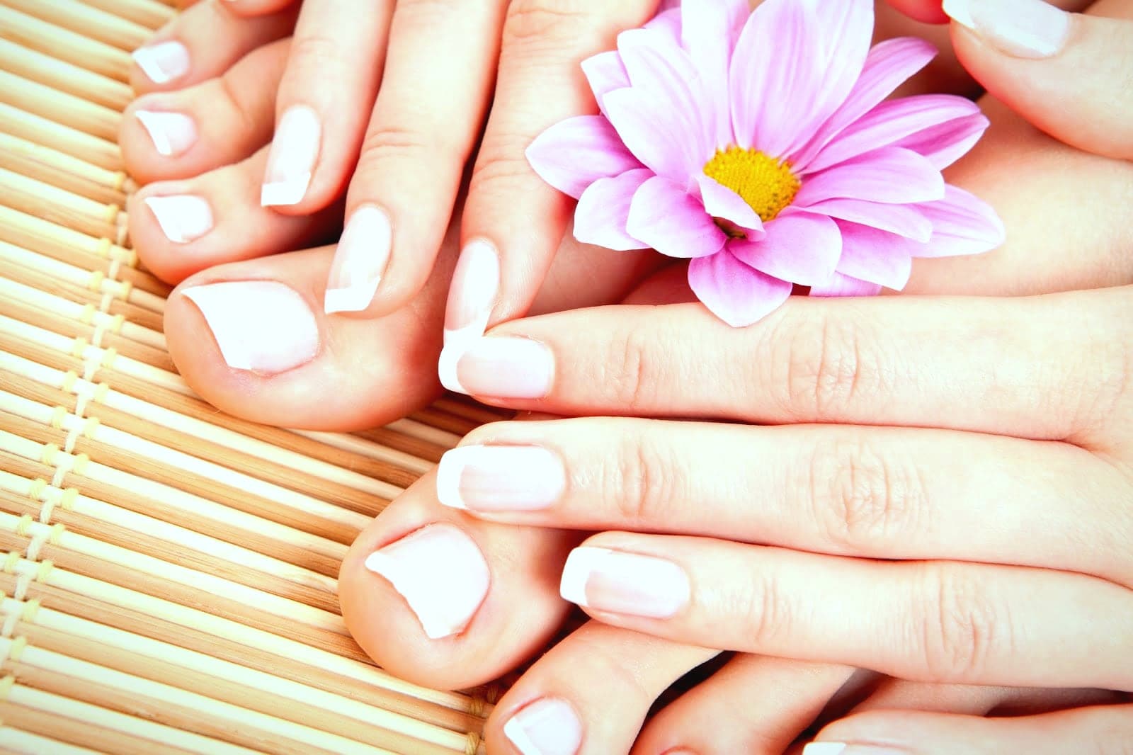 Lotus Hair & Nails Salon — photo from their Google Business Profile