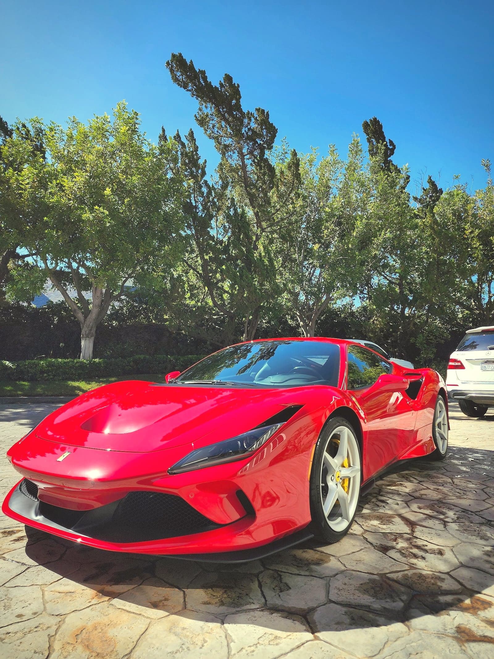 Mt Mobile Auto Detail — photo from their Google Business Profile