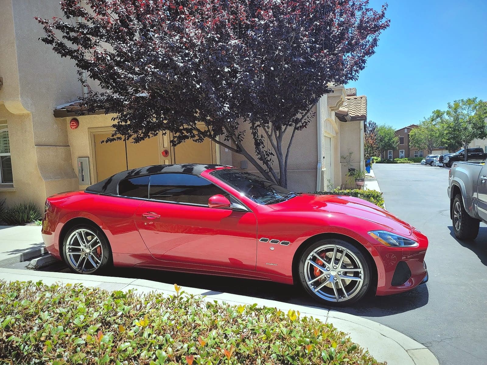 Mt Mobile Auto Detail — photo from their Google Business Profile