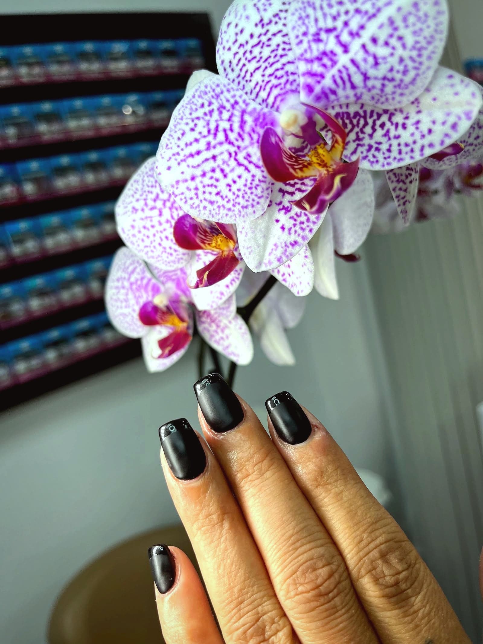 Nails Studio — photo from their Google Business Profile