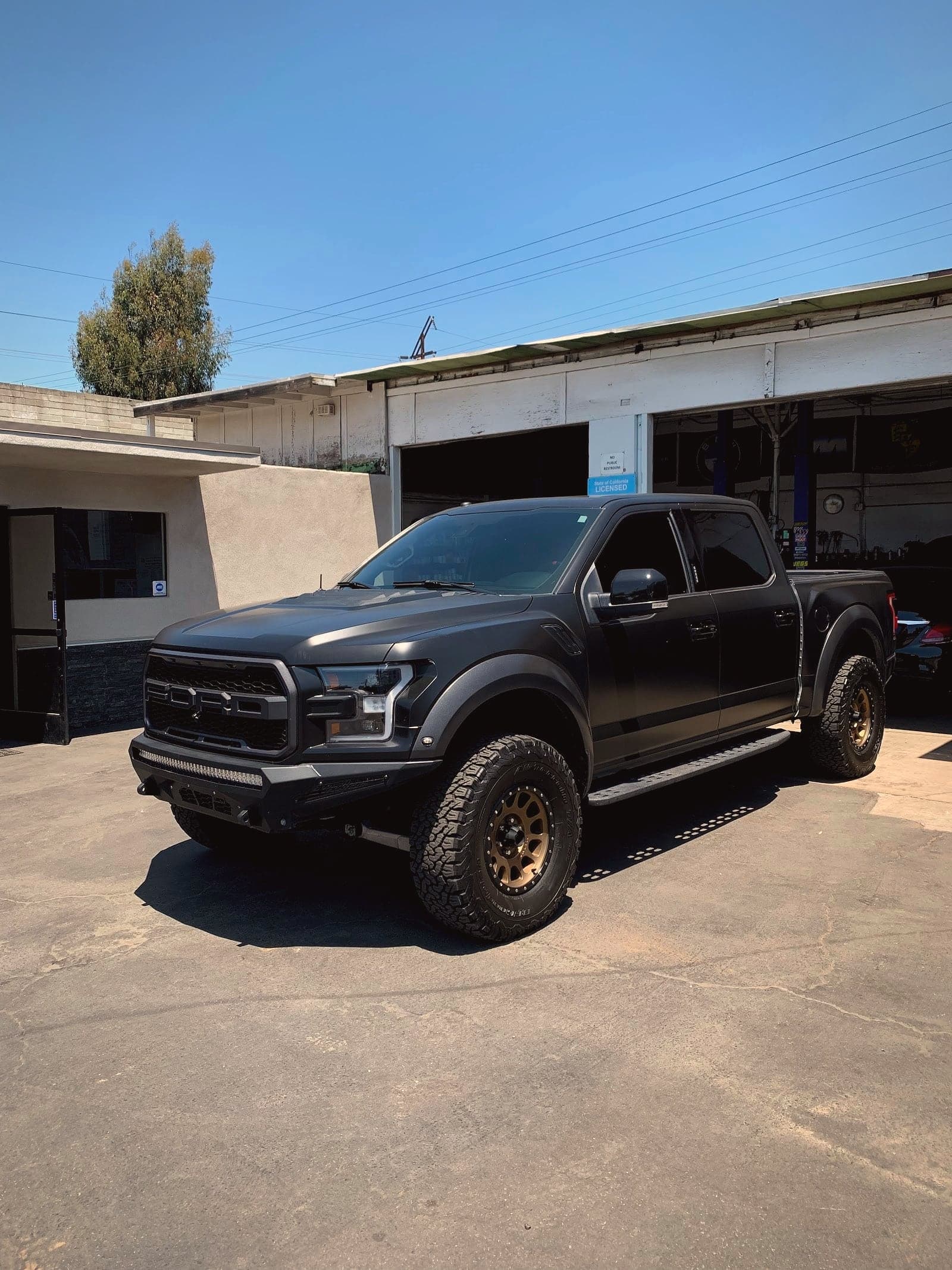 Proline Automotive — photo from their Google Business Profile