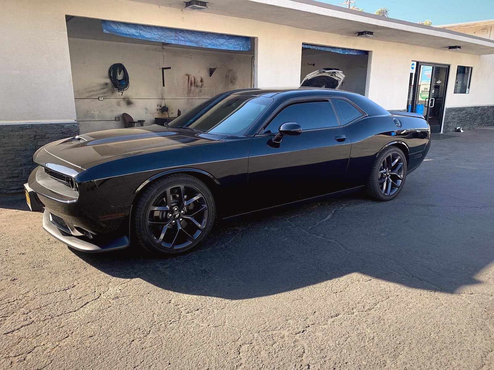 Proline Automotive — photo from their Google Business Profile